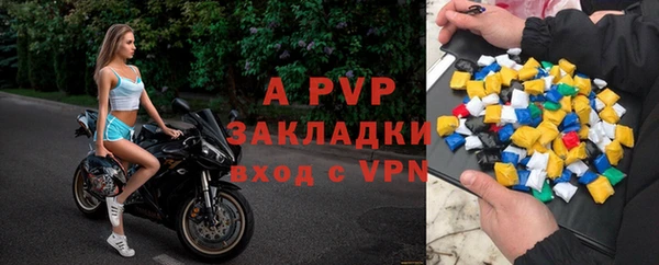 индика Кукмор
