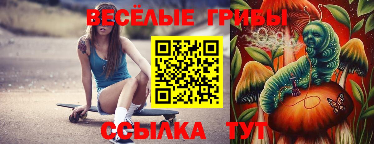 Галлюциногенные грибы GOLDEN TEACHER  Псилоцибиновые грибы мухоморы  Вход с VPN  Мелеуз 